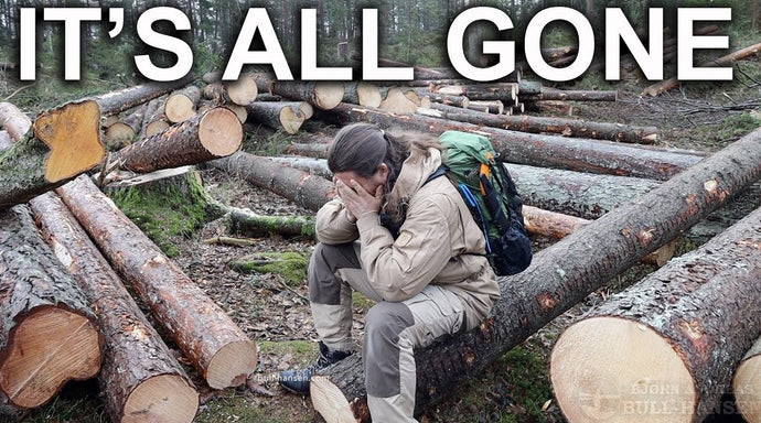 IT’S ALL GONE: The Last Of The Old Forest Has Been Destroyed