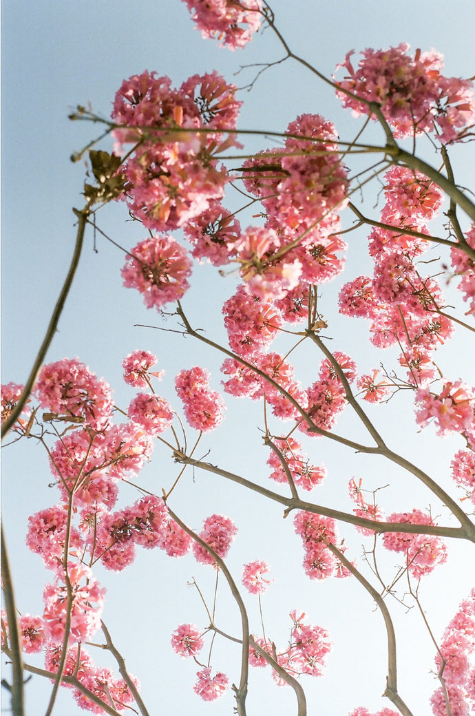 links + small things