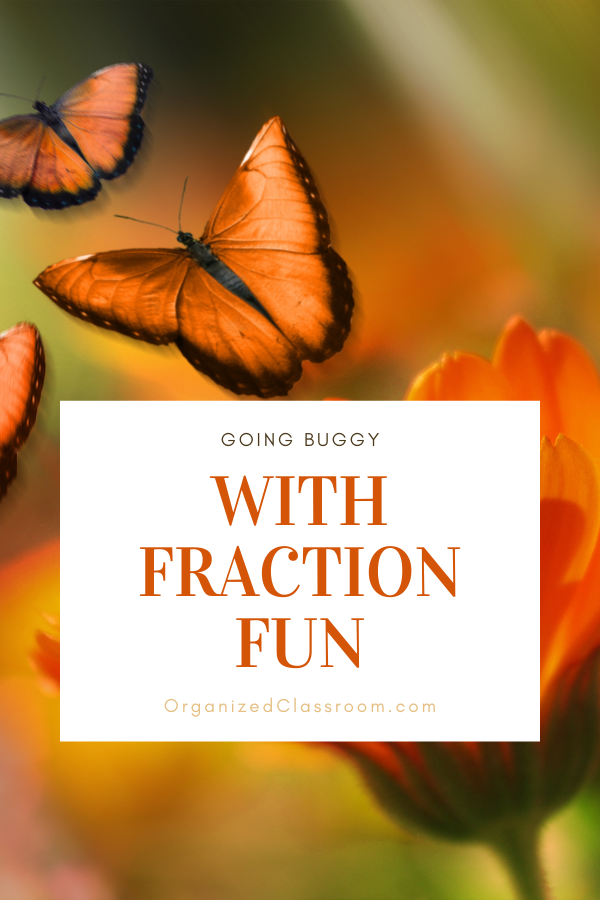 Going Buggy With Fraction Fun