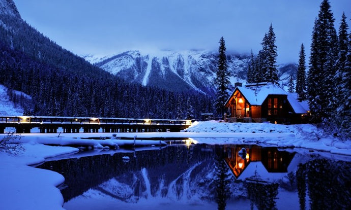 Kids, a Cabin, Wolves, No WiFi… Can We All Survive?