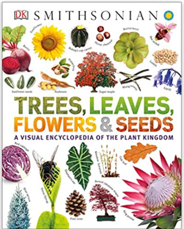 Ticket to Ride London, Trees, Leaves, Flowers & Trees Encyclopedia, Nerf Ultra Motorized Blaster & more (1/24)