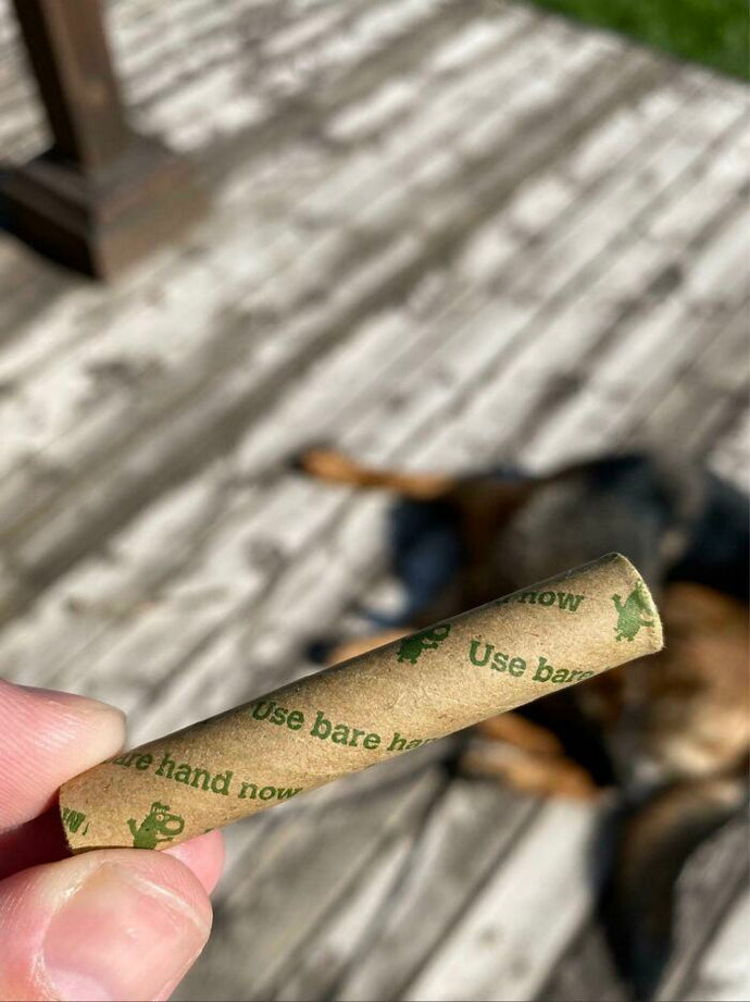 123 Times People Were Lucky Enough To Find These Easter Eggs Hidden In Real Life (New Pics)