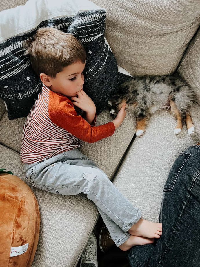 What Brought Me Joy in February