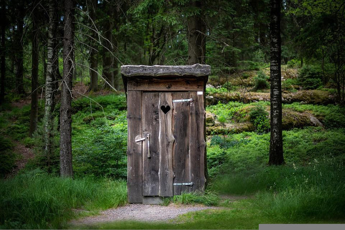 Why Do We Love Portal Fantasies?