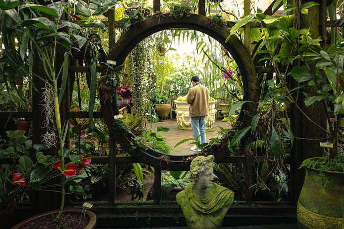 Modern Guide to the Inner Sunset: Think local + eat global in this park-adjacent neighborhood